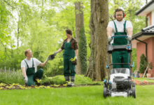 Why is Landscaping Insurance Essential for Small Business Owners?