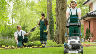 Why is Landscaping Insurance Essential for Small Business Owners?