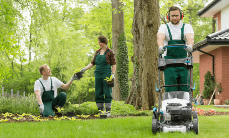 Why is Landscaping Insurance Essential for Small Business Owners?