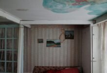 Emergency Leak Repairs: Professional vs. DIY Approaches