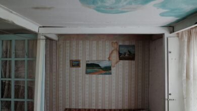 Emergency Leak Repairs: Professional vs. DIY Approaches