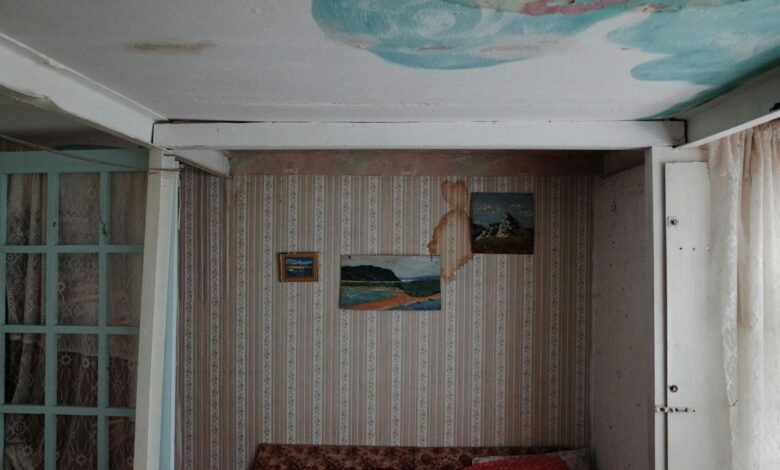 Emergency Leak Repairs: Professional vs. DIY Approaches