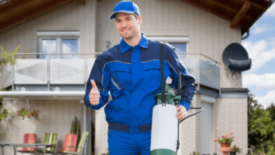 Best Pest Control Surrey Solutions for Effective Home Protection