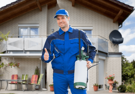 Best Pest Control Surrey Solutions for Effective Home Protection