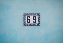 apex pulse growth lane