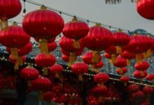 market insights from luminary