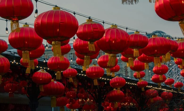 market insights from luminary